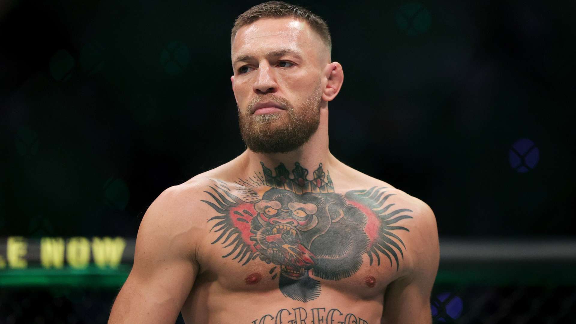 總結來看 總結來看